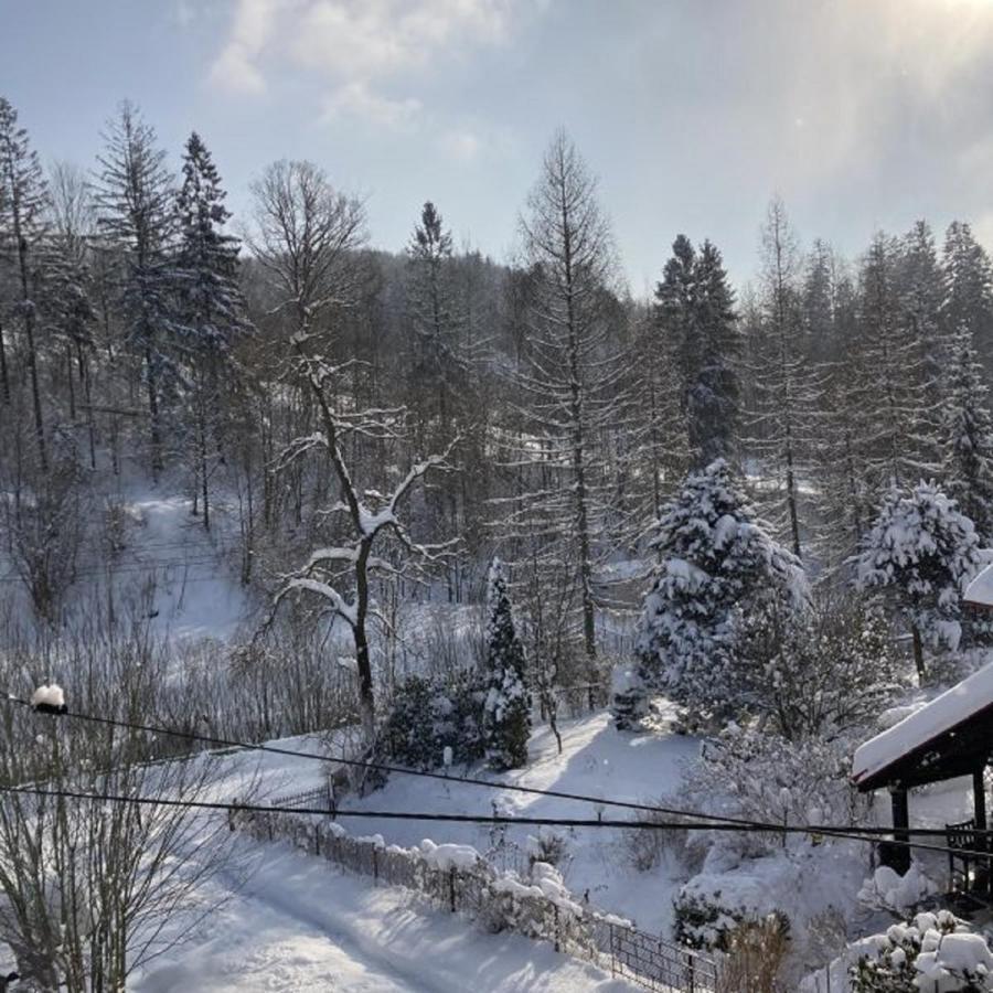 Cud Miod Apartment Wisla Bagian luar foto